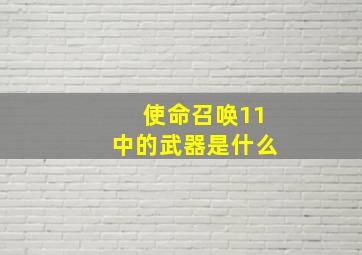 使命召唤11中的武器是什么