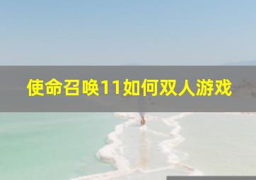 使命召唤11如何双人游戏