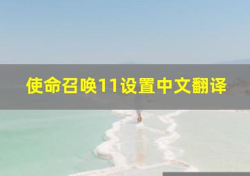 使命召唤11设置中文翻译