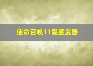 使命召唤11隐藏武器