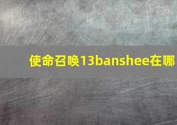 使命召唤13banshee在哪