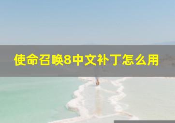 使命召唤8中文补丁怎么用