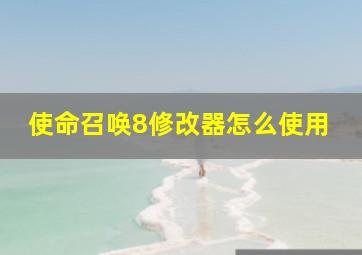 使命召唤8修改器怎么使用