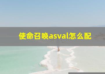 使命召唤asval怎么配