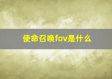 使命召唤fov是什么