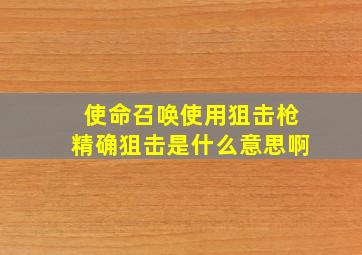 使命召唤使用狙击枪精确狙击是什么意思啊