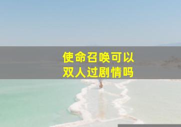 使命召唤可以双人过剧情吗