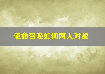 使命召唤如何两人对战