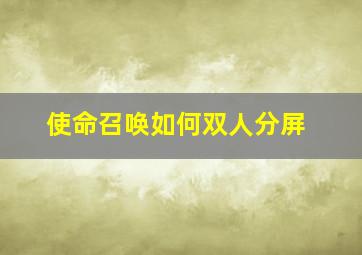 使命召唤如何双人分屏