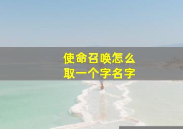 使命召唤怎么取一个字名字