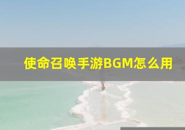 使命召唤手游BGM怎么用