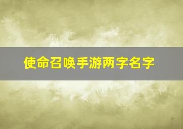 使命召唤手游两字名字