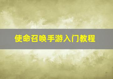 使命召唤手游入门教程