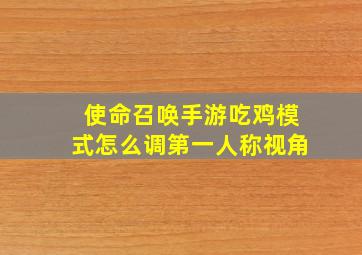 使命召唤手游吃鸡模式怎么调第一人称视角