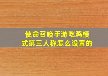 使命召唤手游吃鸡模式第三人称怎么设置的