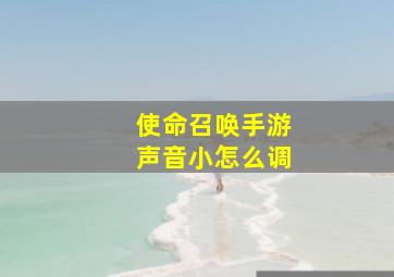 使命召唤手游声音小怎么调