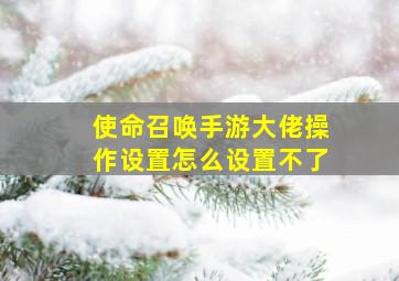 使命召唤手游大佬操作设置怎么设置不了