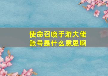 使命召唤手游大佬账号是什么意思啊