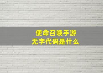 使命召唤手游无字代码是什么