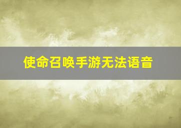 使命召唤手游无法语音