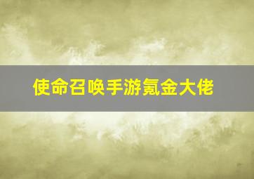 使命召唤手游氪金大佬