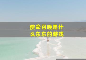 使命召唤是什么东东的游戏