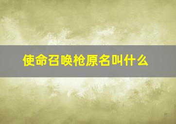 使命召唤枪原名叫什么