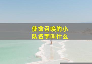 使命召唤的小队名字叫什么