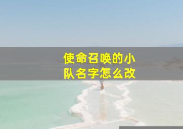 使命召唤的小队名字怎么改