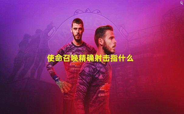 使命召唤精确射击指什么