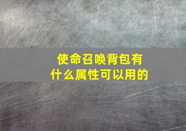 使命召唤背包有什么属性可以用的