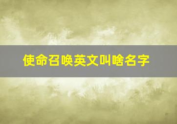 使命召唤英文叫啥名字