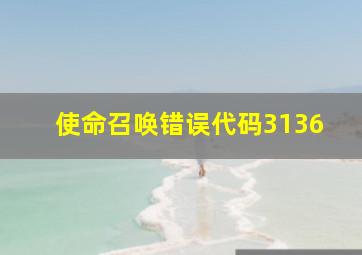 使命召唤错误代码3136