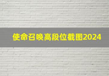 使命召唤高段位截图2024