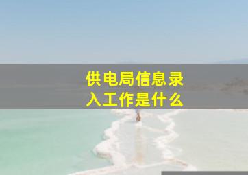 供电局信息录入工作是什么