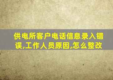 供电所客户电话信息录入错误,工作人员原因,怎么整改