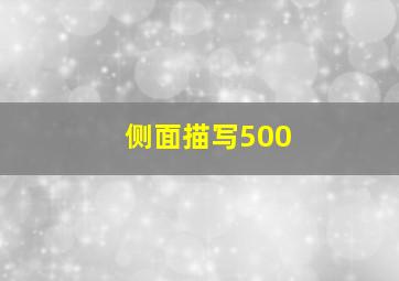 侧面描写500