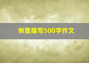 侧面描写500字作文