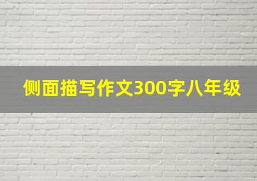 侧面描写作文300字八年级