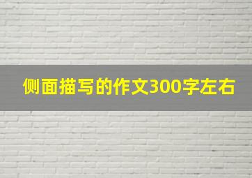 侧面描写的作文300字左右