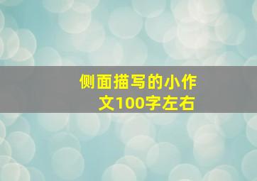 侧面描写的小作文100字左右