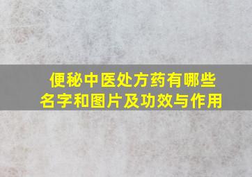 便秘中医处方药有哪些名字和图片及功效与作用