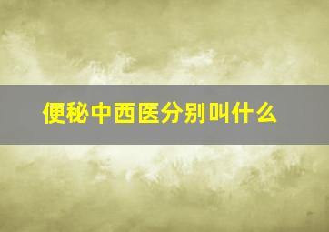 便秘中西医分别叫什么