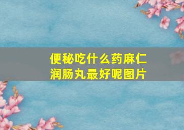 便秘吃什么药麻仁润肠丸最好呢图片