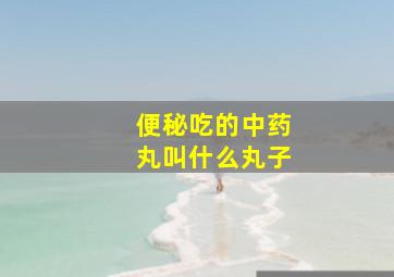 便秘吃的中药丸叫什么丸子