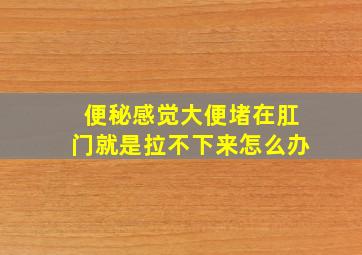 便秘感觉大便堵在肛门就是拉不下来怎么办