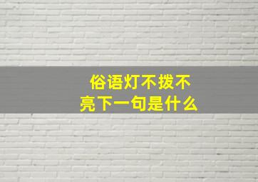 俗语灯不拨不亮下一句是什么