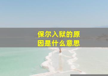 保尔入狱的原因是什么意思