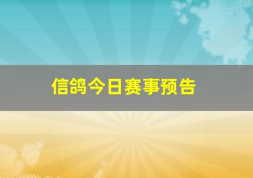 信鸽今日赛事预告