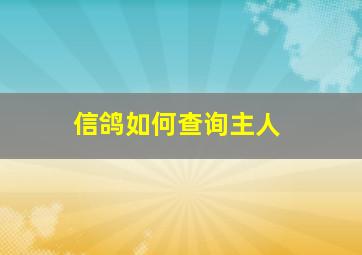 信鸽如何查询主人